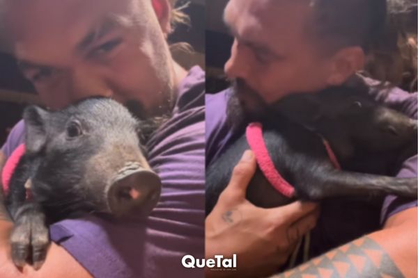 ¡Qué envidia! Jason Momoa adopta un cerdito, lo lleva al estreno de su película